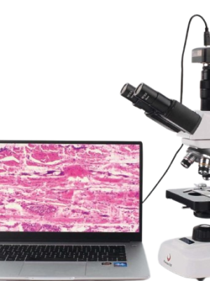 biological microscope Teaching
