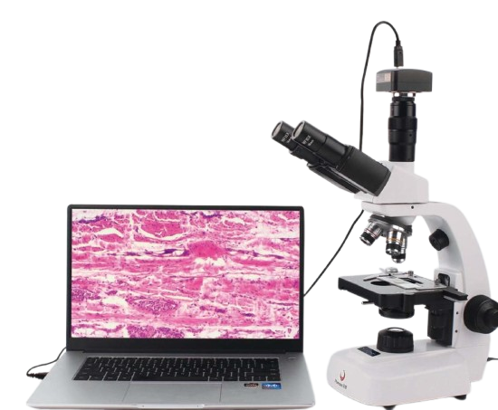 Adjustable-Light-Biological-Microscope-for-Teaching-Research-and-Analysis-removebg-preview biological microscope Teaching